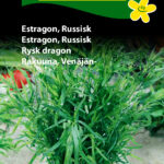 Hornum frøpose 1135 Estragon russisk
