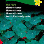 Hornum Frøpose 1144 Blomsterkarse