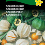 Hornum frøpose 1213 Ananaskirsebær