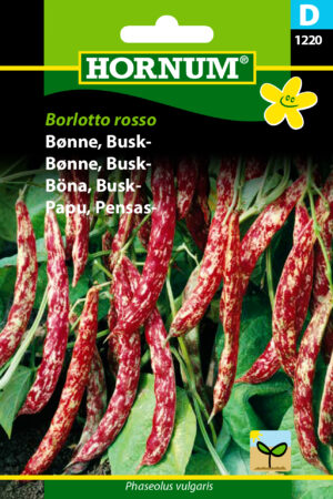 Bønne, Busk-, Borlotto rosso (D) 1220