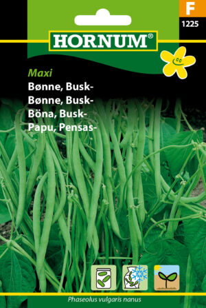 Bønne, Busk-, Maxi (F) 1225
