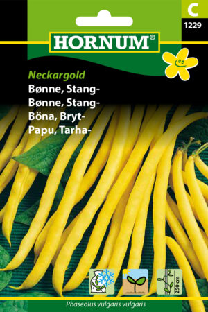 Bønne, Stang-, Neckargold ( C) 1229