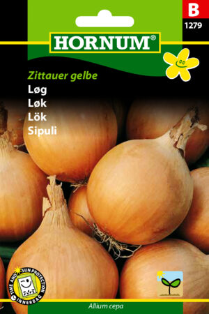 Løg, Giant Zittau (B)  1279