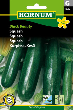 Squash, Black Beauty (F) 1332