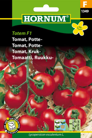 Tomat, Potte-, Totem F1 (F) 1349