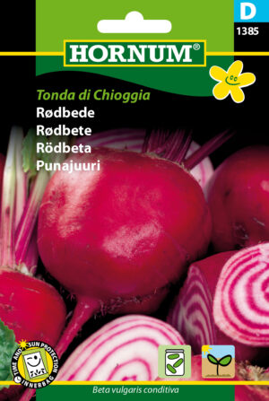 Rødbede, Tonda di Chioggia (D) 1385
