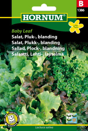 Salat, Pluk-, blanding, Baby Leaf (B) 1386