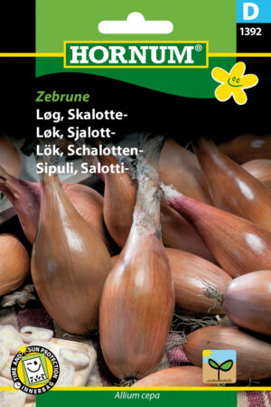 Løg, Skalotte-, Zebrune (D) 1392