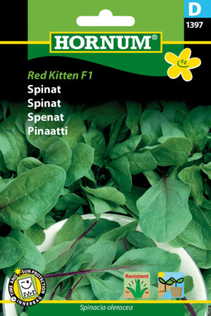 Spinat, Red Kitten F1 (D) 1397