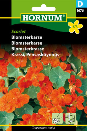 Blomsterkarse, Scarlet (D) 1676