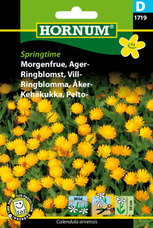 Morgenfrue, Ager-, Springtime (D) 1719