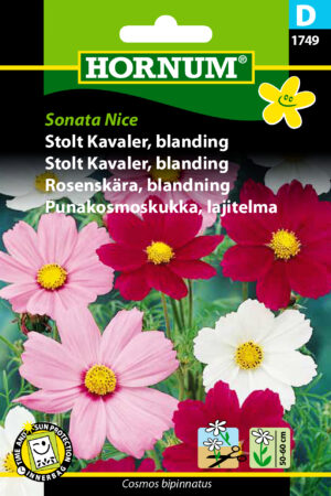 Stolt Kavaler, blanding, Sonata Nice (D) 1749