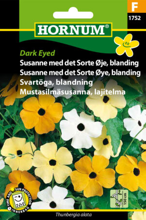 Susanne m.d. Sorte øje, Dark Eyed (F) 1752