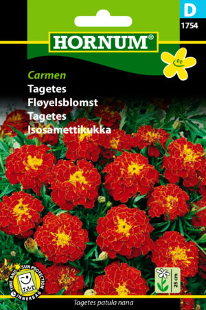 Tagetes, Carmen (D) 1754