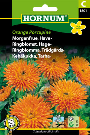 Morgenfrue, Have-, Orange Porcupine (C) 1801