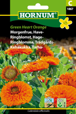 Morgenfrue, Have-, Green Heart Orange (C) 1867