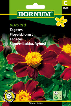 Tagetes, Disco Red (C) 1869