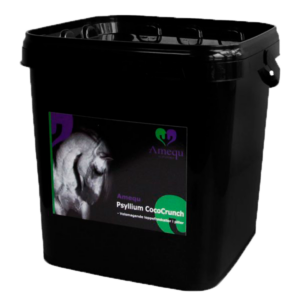 Amequ by Dangro Psyllium CocoCrunch - 3 kg.