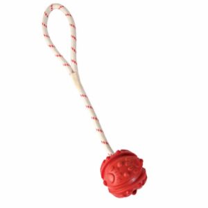 Aqua toy bold Ø4,5 cm med 35 cm reb med håndtag