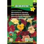 Hornum frøpose Blomsterkarse blanding 2102