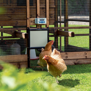 CHICKENGUARD Dør m. lås