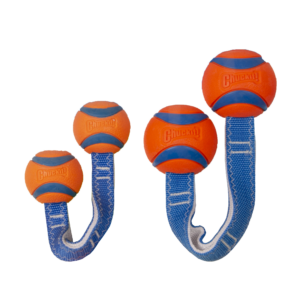 Chuckit! Ultra Duo Tug