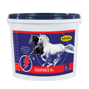 Equiforce b+ vitamin spand
