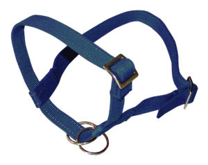 Grime til lam
