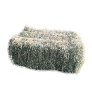 Hø, tørret - ca. 15 kg.