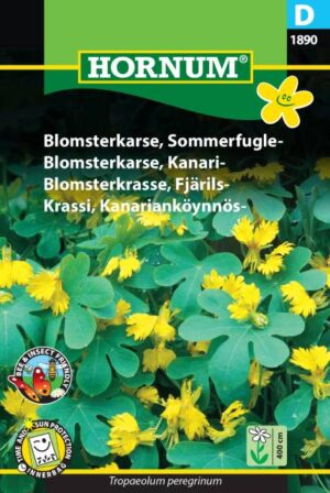 Blomsterkarse, Sommerfugle (D) 1890