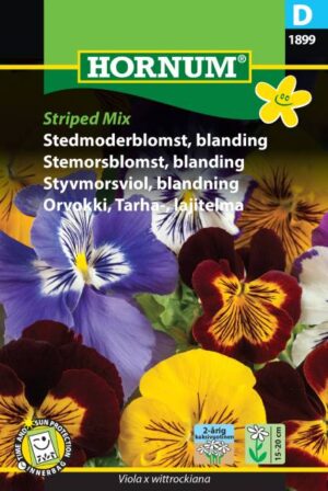 Stedmoderblomst, Striped Mix (D) 1899