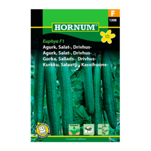Agurk, Salat-, drivhus- Euphya F1 (F) 1208