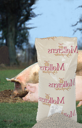 Korngris, Møllerens - 15 kg