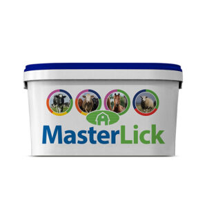 MasterLick HighMag - 20 kg.