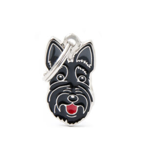 Skotsk terrier