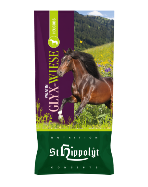 St. Hippolyt Palatin Høcobs - 20 kg.