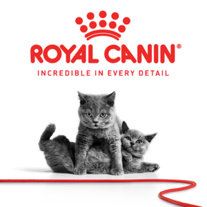 Royal Canin kattemad