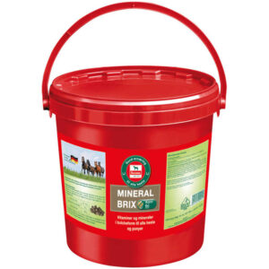 Salvana Mineral Brix - 8 kg.