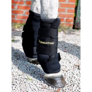 BOT Staldbandage Royal