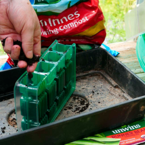 Gro-Sure Såbakke, 4 celler - 12 pak.