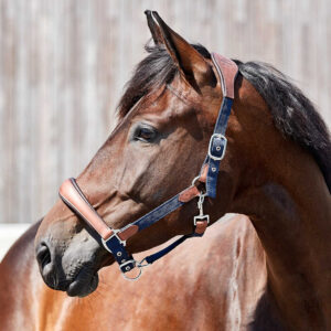 Horseguard ss23 keisha anatomisk grime på hest