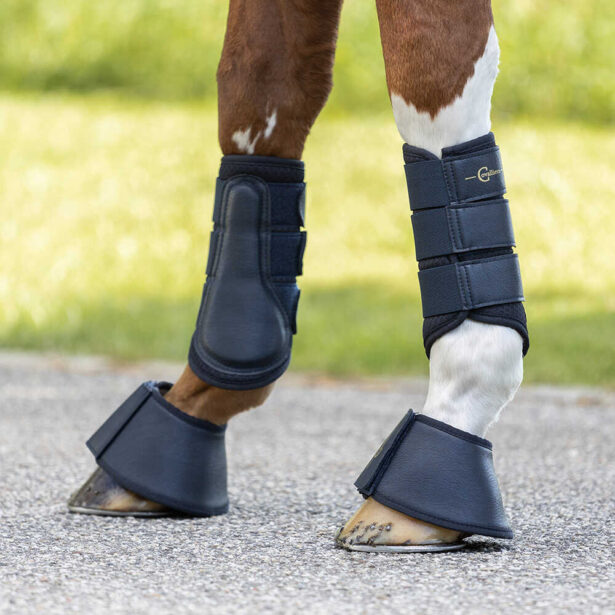 Covalliero SS23 klokker og gamacher med velcro navy på hesteben.