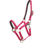 HorseGuard aw23 love grime fruit dove