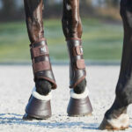 HorseGuard AW23 Lux dressur gamacher med glitter