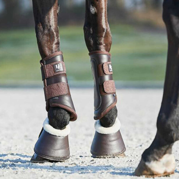 HorseGuard AW23 Lux dressur gamacher med glitter
