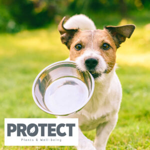 Protect Hundefoder