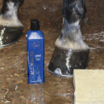Nathalie HorseCare All White Shampoo til hvide heste