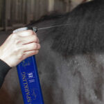 Nathalie HorseCare Royal Sparkling Finish spray