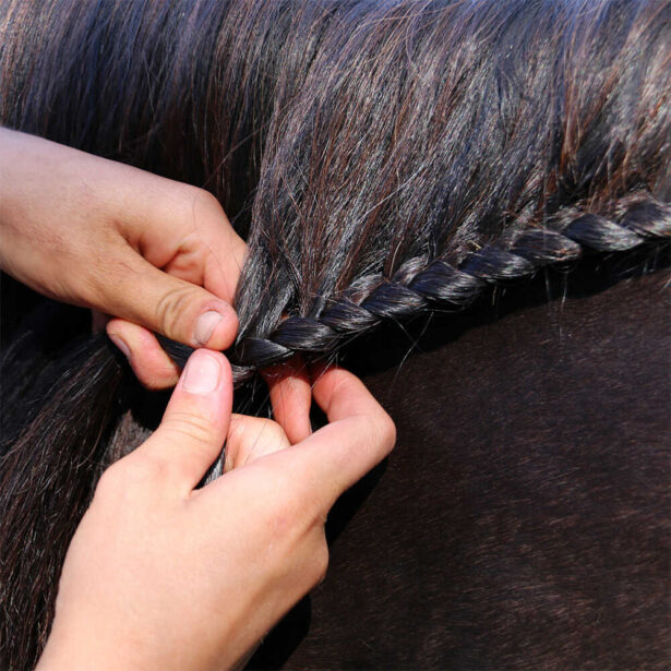 Nathalie HorseCare Strong Hold Plait flettevand