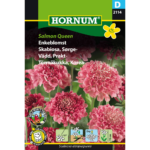 2114 enkeblomst hornum